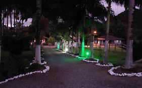 Palmenhaus